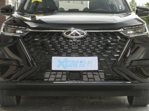 2024款冠军版 290T 两驱闪耀版 5座 中网