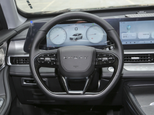 2024款冠军版 290T 两驱闪耀版 5座 方向盘