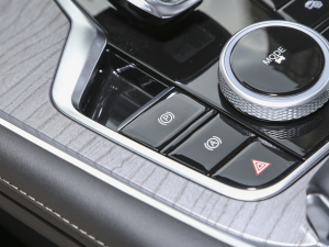 2024܊ 290T Wҫ 5 v܇Ƅ