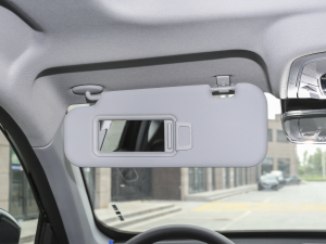 2024܊ 290T Wҫ 5 ꖰ壨