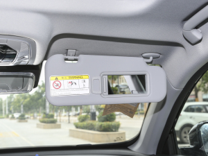 2024܊ 290T Wҫ 5 ꖰ壨ң