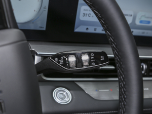 2024܊ 290T (q)Wҫ 5 п؅^(q)