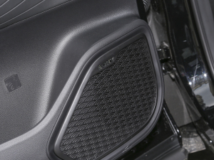 2024܊ 290T (q)Wҫ 5 п؅^(q)