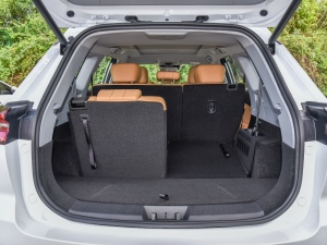 2024܊ 390T (q)p 7 g