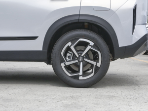 2024а 1.6T (q)m (x)(ji)^