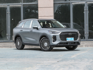 2024款2.0T 两驱尊贵版 5座 整体外观