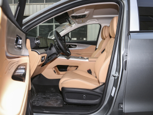 20252.0T Ԅ(dng)(q) 5 g