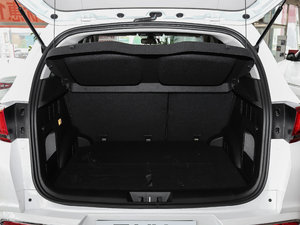 20181.5T ԄӾӢIȰ V g