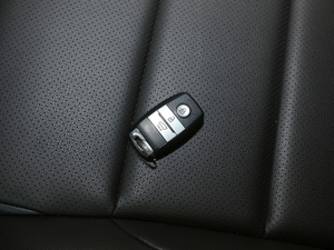 20201.5GTDI DCTA ܇耳