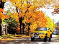 ���w���^��LX9���w���^