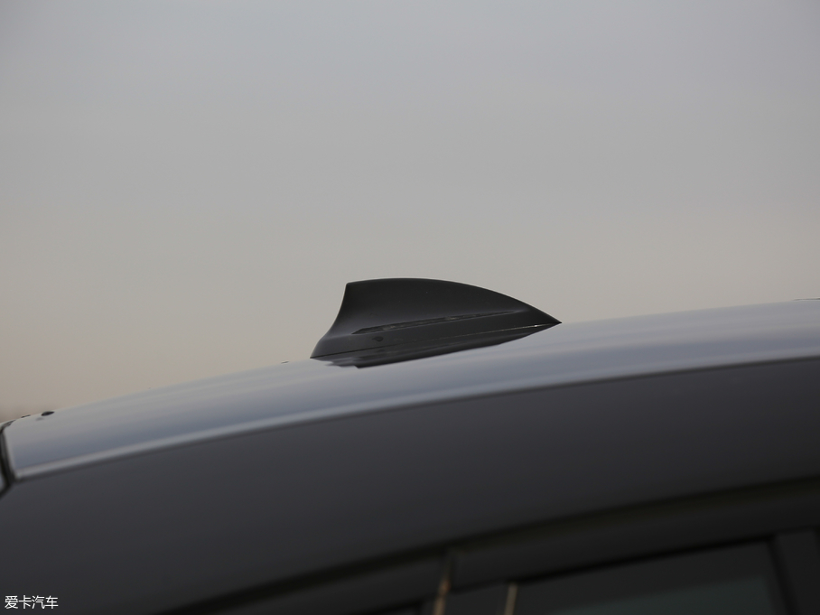 2019RX4 xDrive 25i M\b