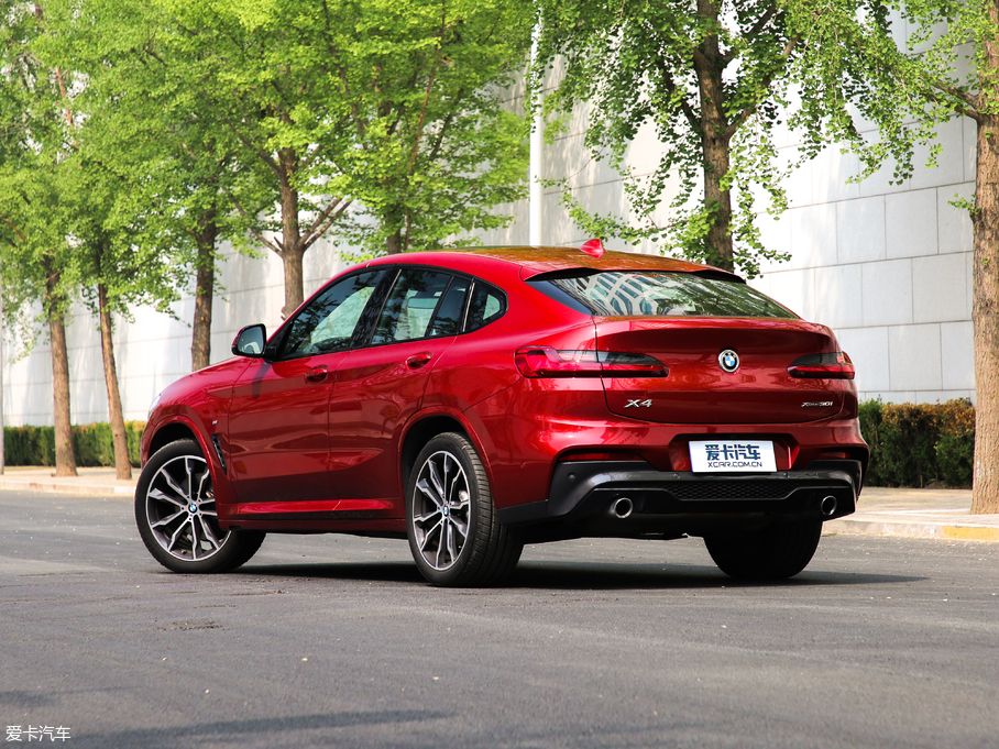 2019RX4 xDrive 30i M\b