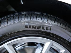 2019xDrive 25i M\b ݆̥Ʒ