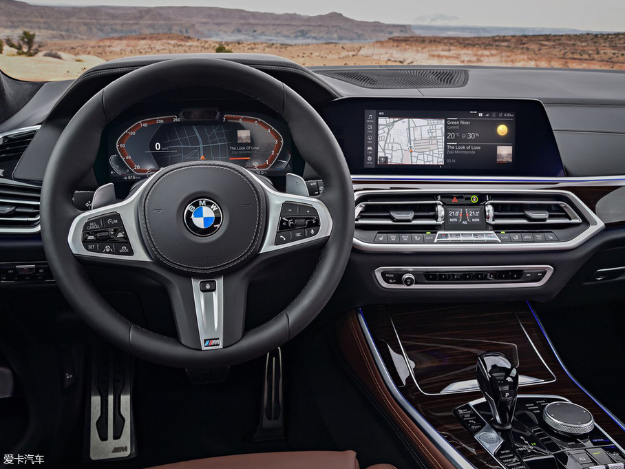 2019RX5(M) xDrive30d