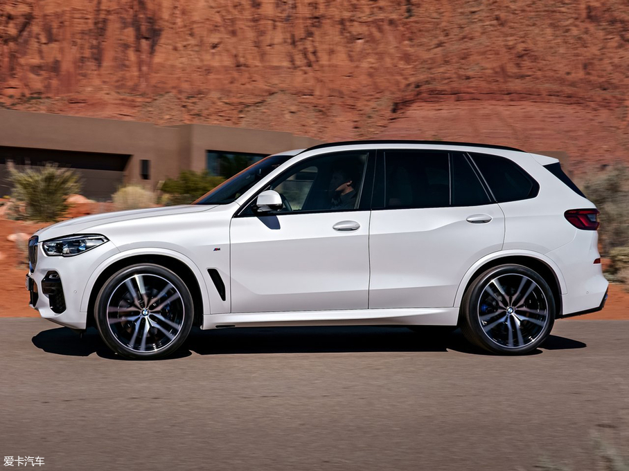 2019RX5(M) xDrive30d