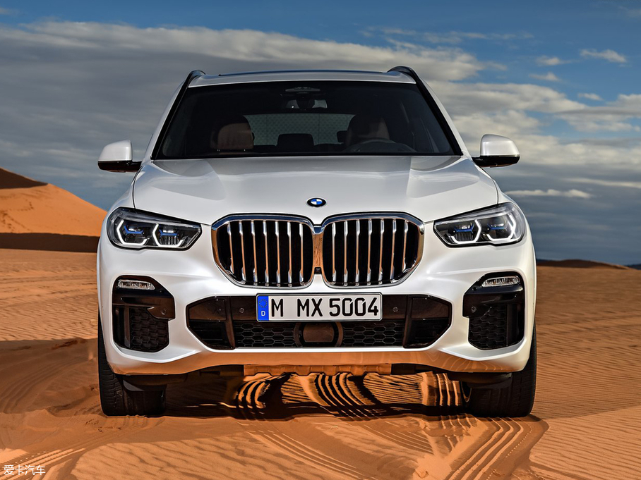 2019RX5(M) xDrive30d