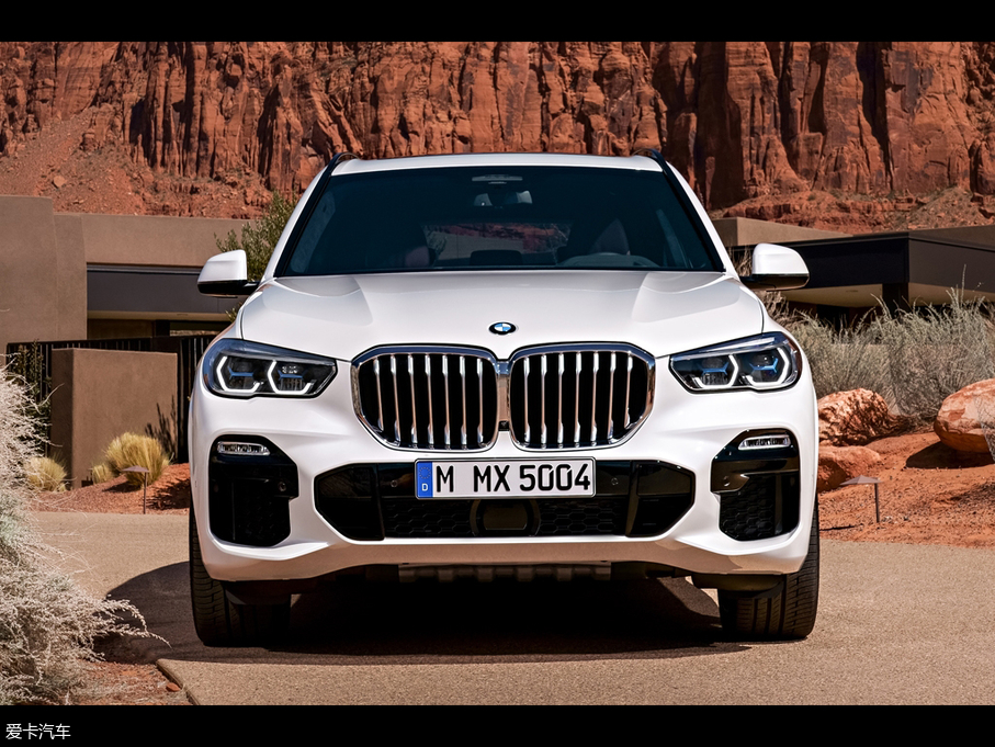 2019RX5(M) xDrive30d