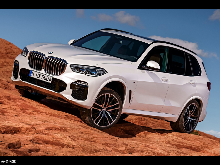 2019RX5(M) xDrive30d