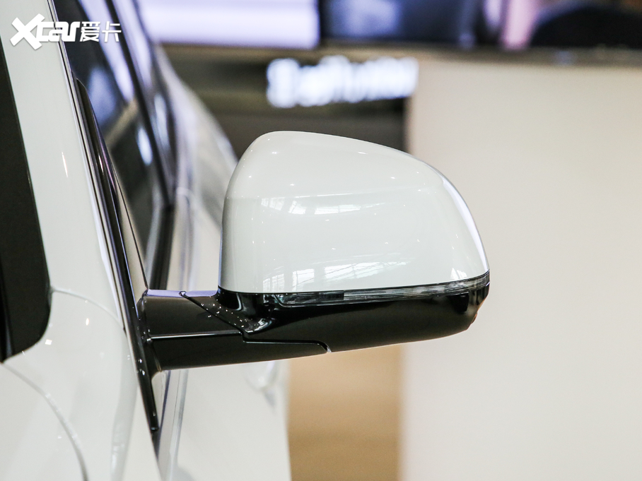 2019RX5(M) xDrive30i M\b