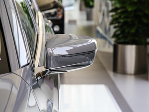 2019款740Li 领先型 豪华套装 后视镜