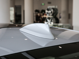 2019款740Li 尊享型 豪华套装 细节外观
