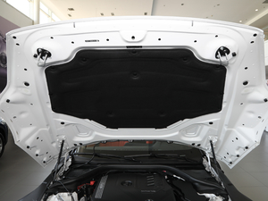 2019sDrive 25i M\(yn)(dng)ҹb 