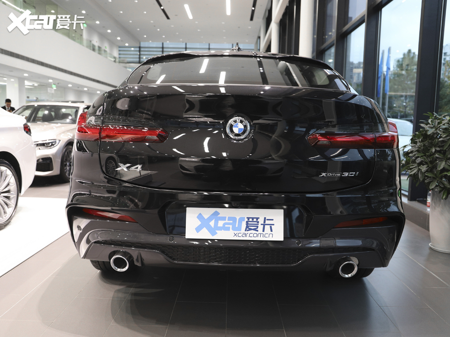 2020RX4 xDrive 30i M\b