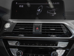 2020xDrive 30i M\b {L