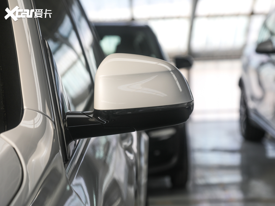 2020RX5(M) xDrive30i M\b