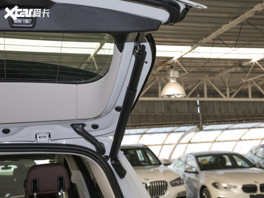 2020RX5(M) xDrive30i M\b