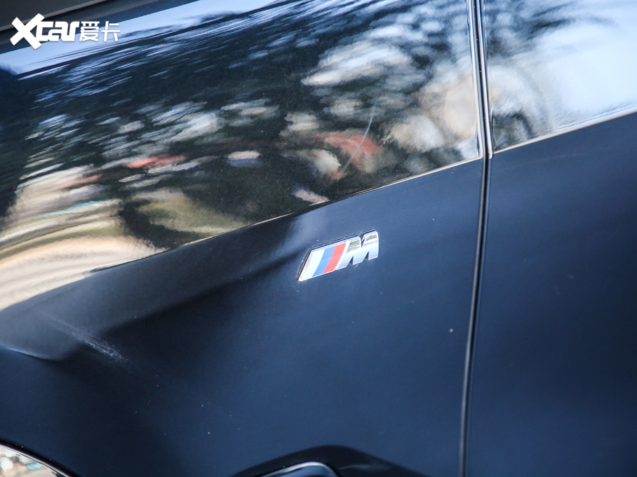 2020RX5(M) xDrive30i M\b