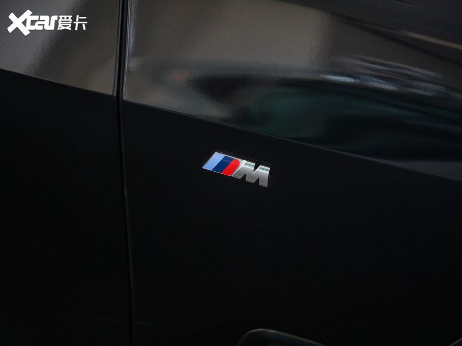 2020RX5(M) xDrive30i M\b