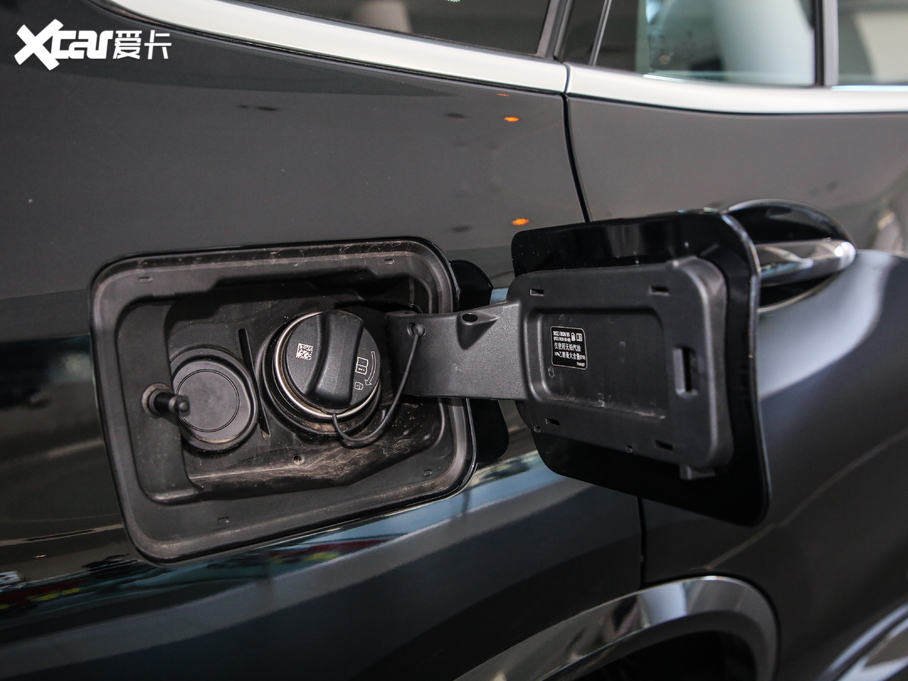 2020RX5(M(jn)) xDrive30i M\(yn)(dng)b