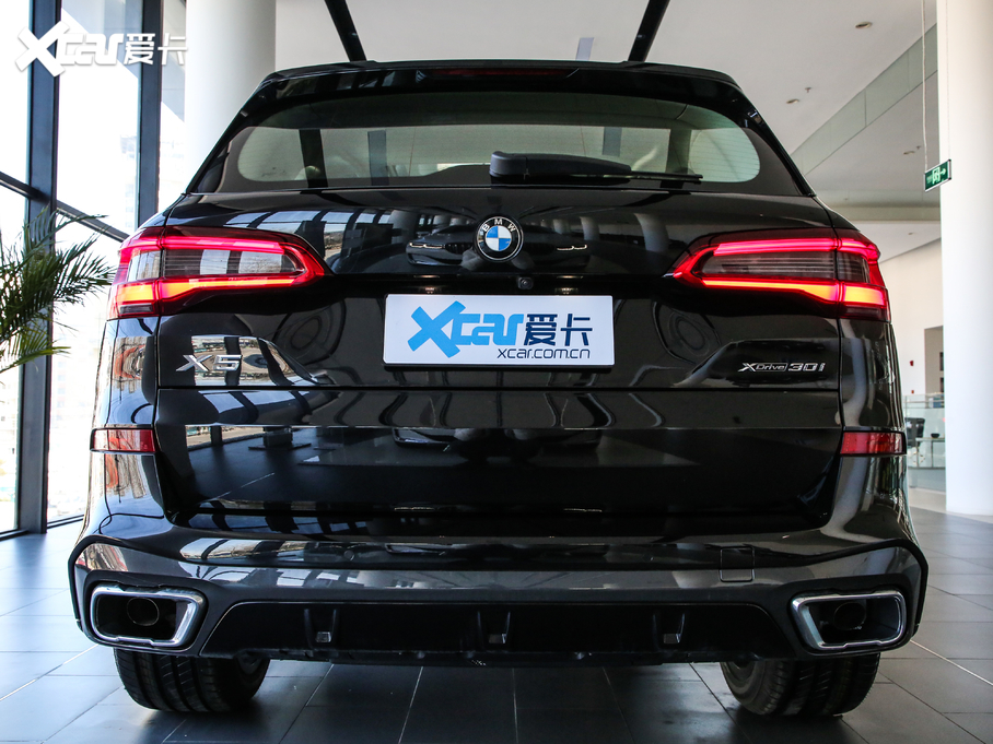 2020RX5(M) xDrive30i M\b