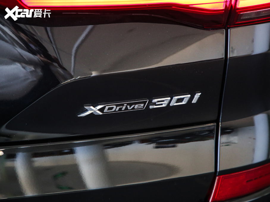 2020RX5(M) xDrive30i M\b