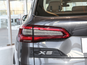 2020款xDrive30i X设计套装 细节外观