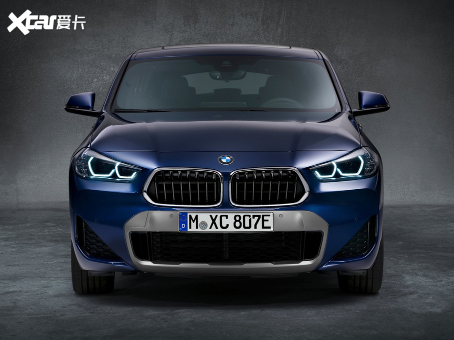 2020RX2(M) xDrive25e