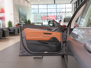 2021Ŀ 630i AOӋb {λ܇T