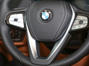 2021Ŀ 630i AO(sh)Ӌ(j)b п؅^(q)