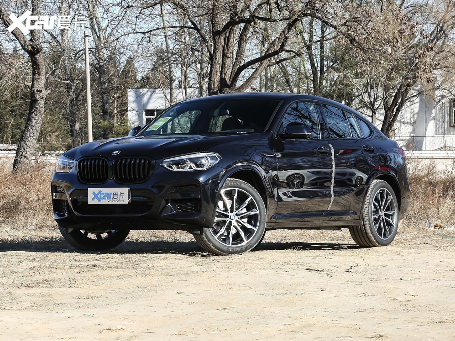 2021RX4 xDrive 25i M\ҹb