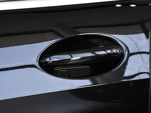 2021款xDrive40i M运动套装 主驾门拉手