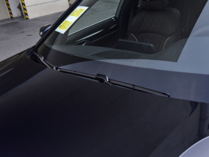 2021740Li I(lng) M\(yn)(dng)b ˢ