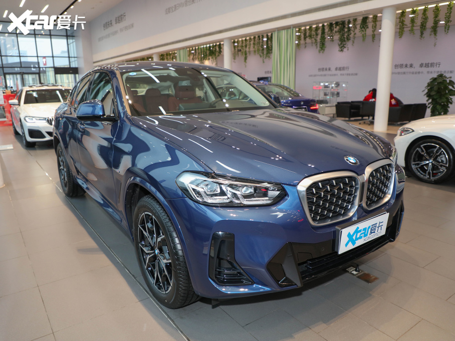 2022RX4 xDrive 25i M\b