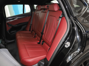 2022xDrive 30i M\(yn)(dng)ҹb 