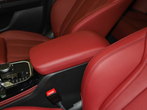 2022xDrive 30i M\(yn)(dng)ҹb 