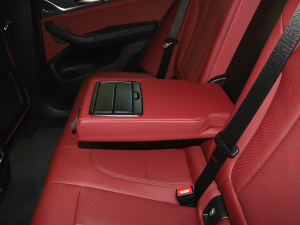 2022xDrive 30i M\(yn)(dng)ҹb 