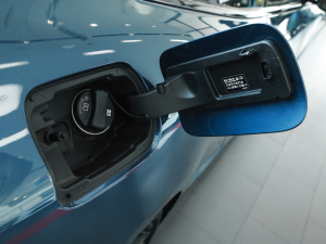 2022425i M\(yn)(dng)ҹb w