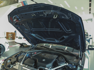 2022425i M\ҹb lәCœ