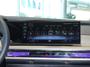 2023款xDrive60L 豪华套装 空调调节