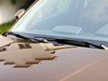 2011���1ϵ������ˢ